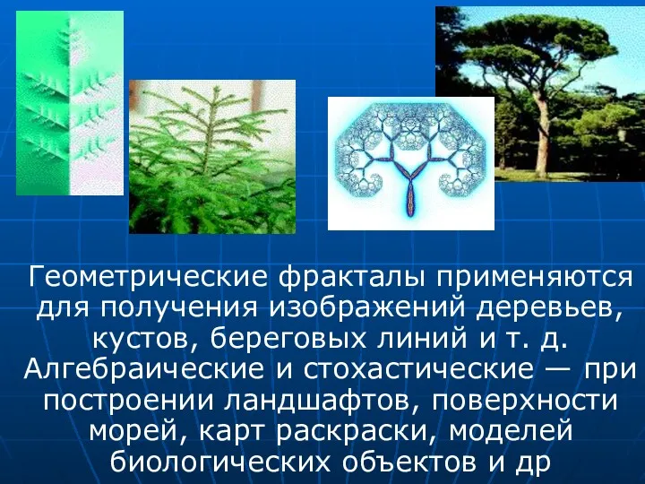 Геометрические фракталы применяются для получения изображений деревьев, кустов, береговых линий