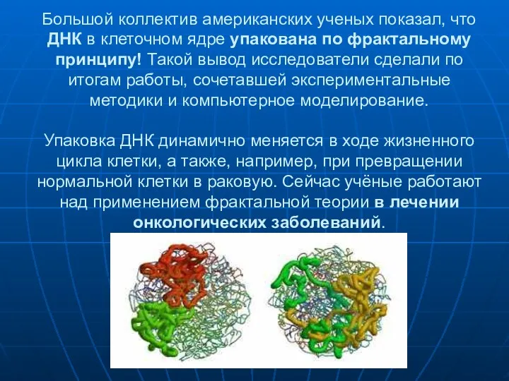 Большой коллектив американских ученых показал, что ДНК в клеточном ядре