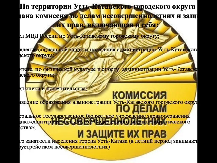 На территории Усть-Катавского городского округа создана комиссия по делам несовершеннолетних