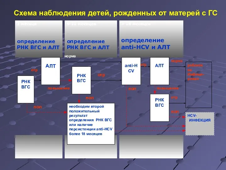 Схема наблюдения детей, рожденных от матерей с ГС