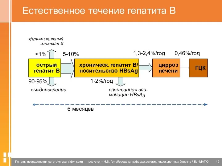 Естественное течение гепатита В