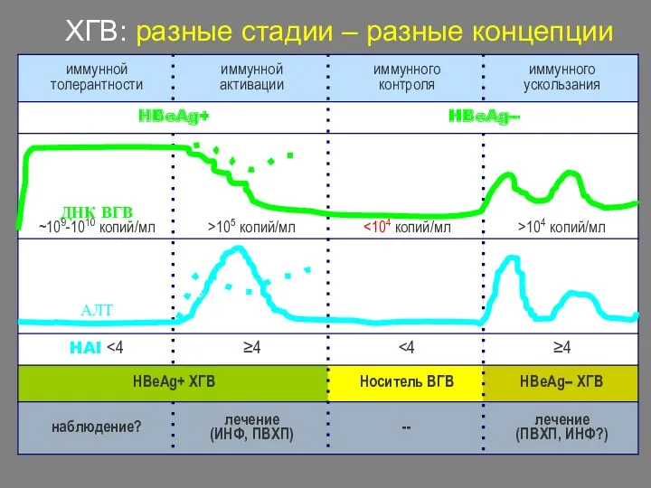 ХГВ: разные стадии – разные концепции