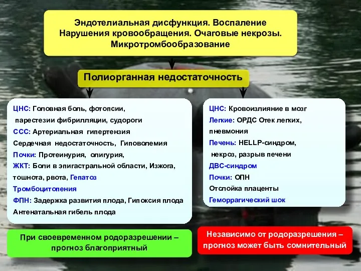 Куликов А.В. Полиорганная недостаточность Эндотелиальная дисфункция. Воспаление Нарушения кровообращения. Очаговые