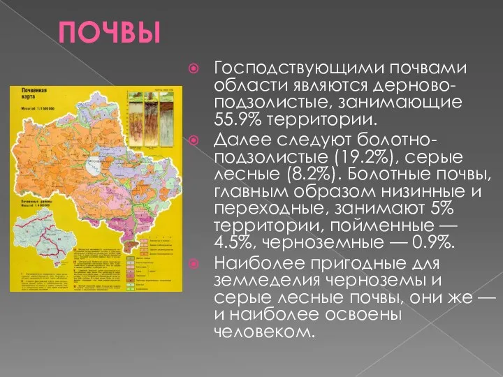 ПОЧВЫ Господствующими почвами области являются дерново-подзолистые, занимающие 55.9% территории. Далее