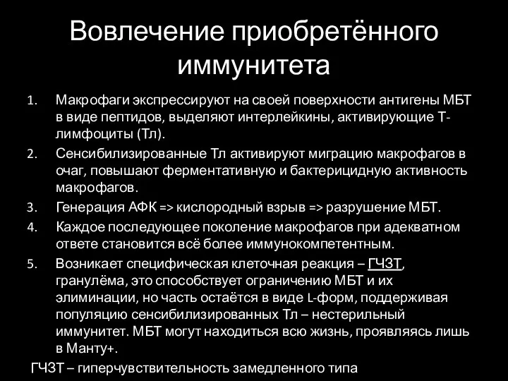 Вовлечение приобретённого иммунитета Макрофаги экспрессируют на своей поверхности антигены МБТ