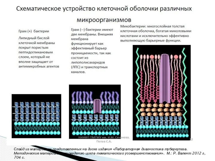 Слайд из материалов представленных на диске издания «Лабораторная диагностика туберкулеза.