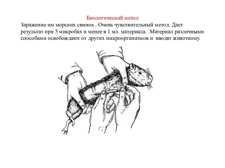 Биологический метод Заражение им морских свинок . Очень чувствительный метод.