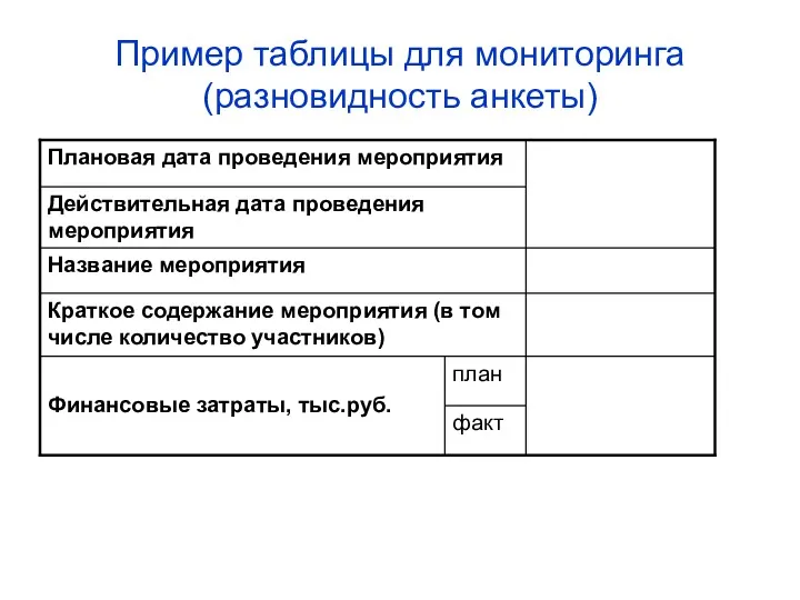 Пример таблицы для мониторинга (разновидность анкеты)