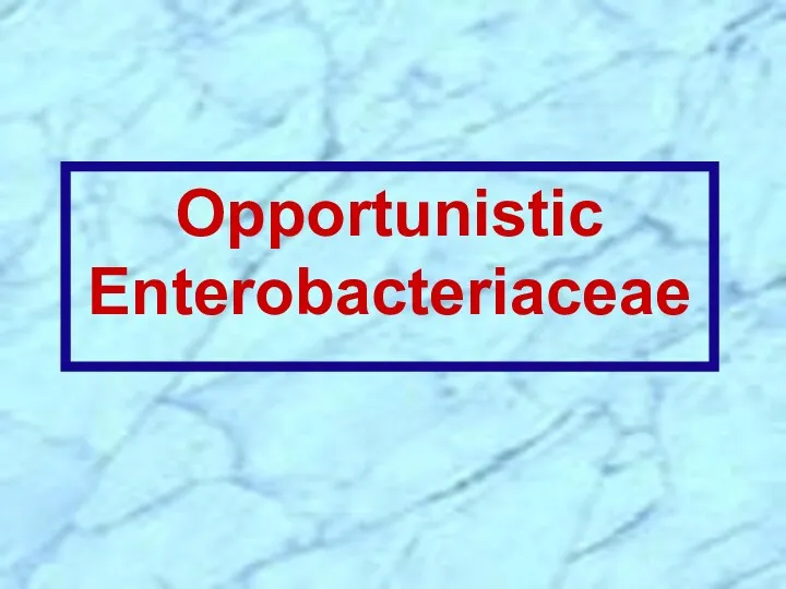Opportunistic Enterobacteriaceae