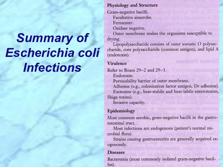 Summary of Escherichia coli Infections
