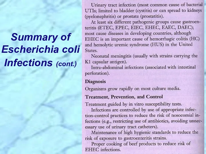Summary of Escherichia coli Infections (cont.)