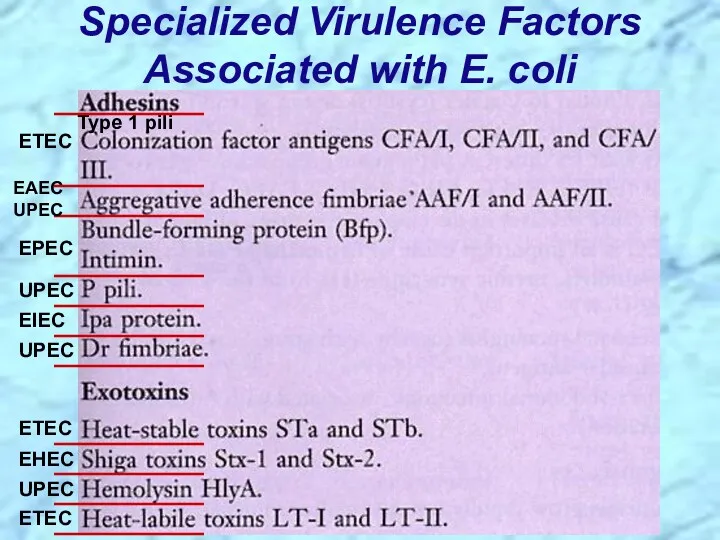 Specialized Virulence Factors Associated with E. coli EAEC UPEC EPEC ETEC Type 1