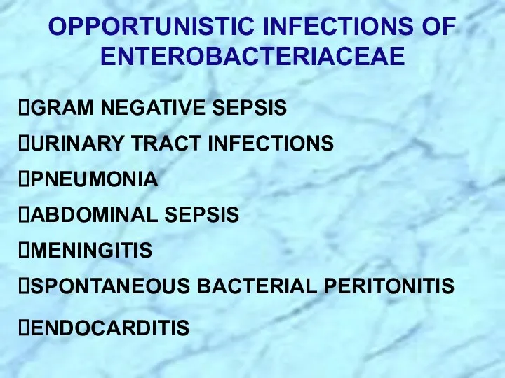 OPPORTUNISTIC INFECTIONS OF ENTEROBACTERIACEAE GRAM NEGATIVE SEPSIS URINARY TRACT INFECTIONS PNEUMONIA ABDOMINAL SEPSIS