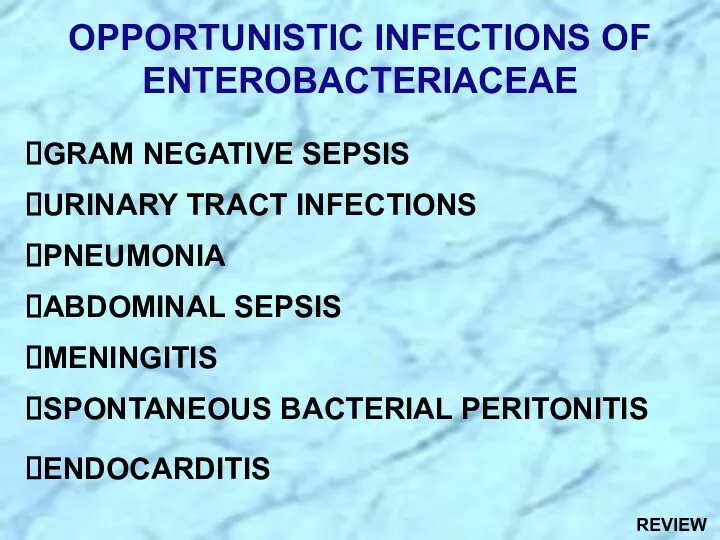 OPPORTUNISTIC INFECTIONS OF ENTEROBACTERIACEAE GRAM NEGATIVE SEPSIS URINARY TRACT INFECTIONS PNEUMONIA ABDOMINAL SEPSIS