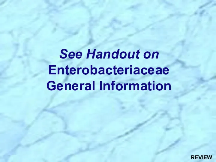 REVIEW See Handout on Enterobacteriaceae General Information