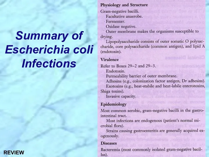 Summary of Escherichia coli Infections REVIEW