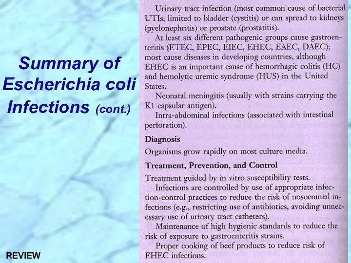Summary of Escherichia coli Infections (cont.) REVIEW