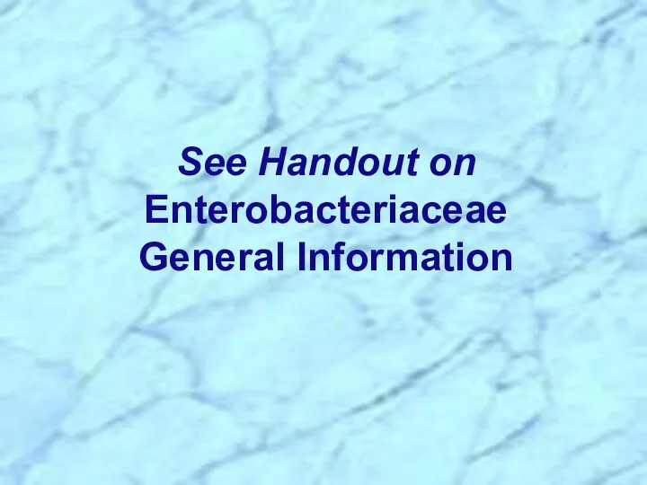 See Handout on Enterobacteriaceae General Information