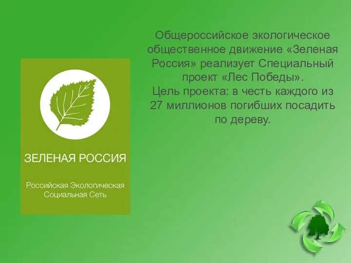 Общероссийское экологическое общественное движение «Зеленая Россия» реализует Специальный проект «Лес