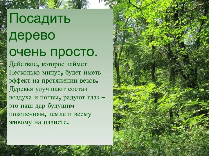 Посадить дерево очень просто. Действие, которое займёт Несколько минут, будет