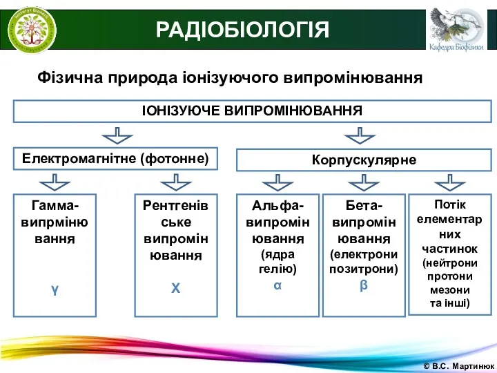 © В.С. Мартинюк РАДІОБІОЛОГІЯ Фізична природа іонізуючого випромінювання ІОНІЗУЮЧЕ ВИПРОМІНЮВАННЯ Електромагнітне (фотонне) Корпускулярне