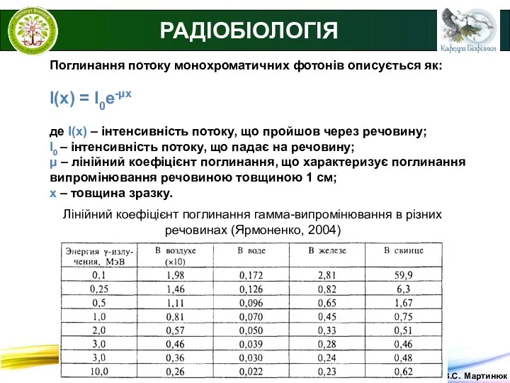 © В.С. Мартинюк РАДІОБІОЛОГІЯ Поглинання потоку монохроматичних фотонів описується як: