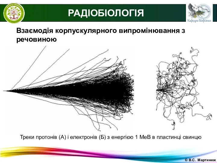 © В.С. Мартинюк РАДІОБІОЛОГІЯ Взаємодія корпускулярного випромінювання з речовиною Треки