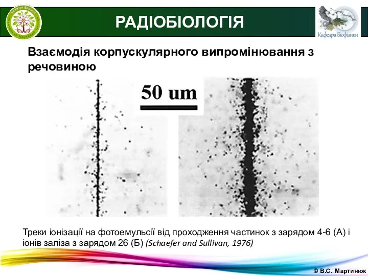 © В.С. Мартинюк РАДІОБІОЛОГІЯ Взаємодія корпускулярного випромінювання з речовиною Треки