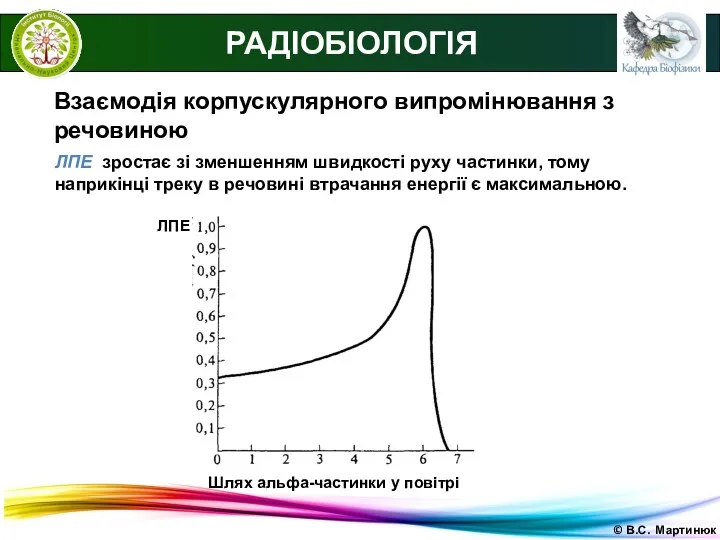 © В.С. Мартинюк РАДІОБІОЛОГІЯ Взаємодія корпускулярного випромінювання з речовиною ЛПЕ зростає зі зменшенням