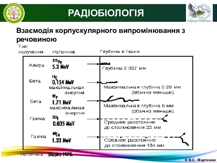 © В.С. Мартинюк РАДІОБІОЛОГІЯ Взаємодія корпускулярного випромінювання з речовиною