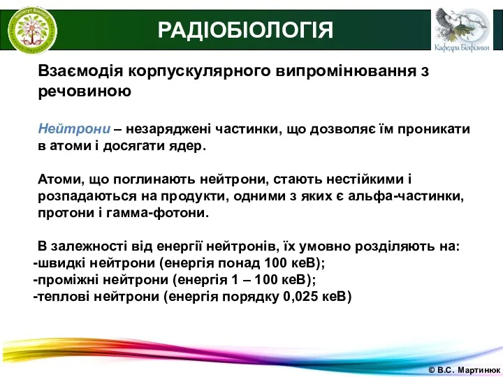 © В.С. Мартинюк РАДІОБІОЛОГІЯ Взаємодія корпускулярного випромінювання з речовиною Нейтрони – незаряджені частинки,