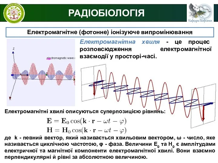 РАДІОБІОЛОГІЯ Електромагнітне (фотонне) іонізуюче випромінювання Електромагнітна хвиля - це процес розповсюдження електромагнітної взаємодії