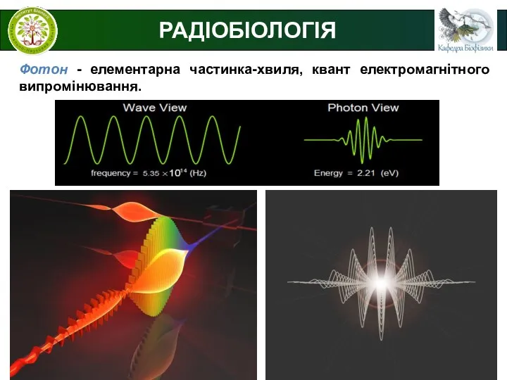 РАДІОБІОЛОГІЯ Фотон - елементарна частинка-хвиля, квант електромагнітного випромінювання.