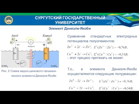 Элемент Даниэля-Якоби СУРГУТСКИЙ ГОСУДАРСТВЕННЫЙ УНИВЕРСИТЕТ Рис. 2 Схема медно-цинкового гальвани-