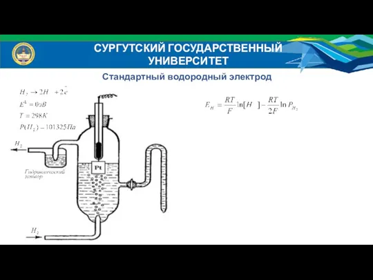 Стандартный водородный электрод СУРГУТСКИЙ ГОСУДАРСТВЕННЫЙ УНИВЕРСИТЕТ