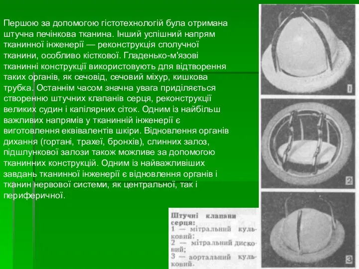 Першою за допомогою гістотехнологій була отримана штучна печінкова тканина. Інший