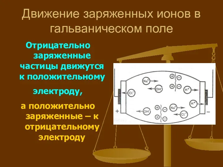 Движение заряженных ионов в гальваническом поле Отрицательно заряженные частицы движутся