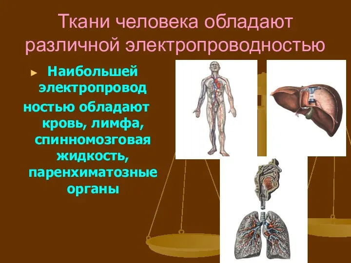 Ткани человека обладают различной электропроводностью Наибольшей электропровод ностью обладают кровь, лимфа, спинномозговая жидкость, паренхиматозные органы