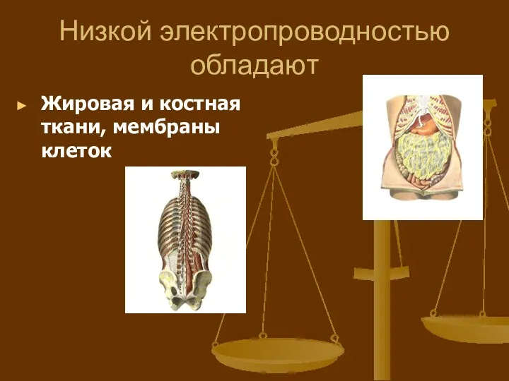 Низкой электропроводностью обладают Жировая и костная ткани, мембраны клеток