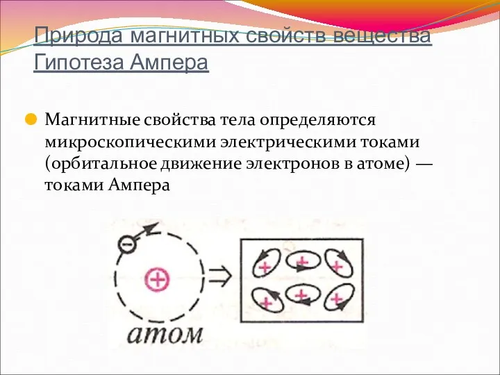 Природа магнитных свойств вещества Гипотеза Ампера Магнитные свойства тела определяются