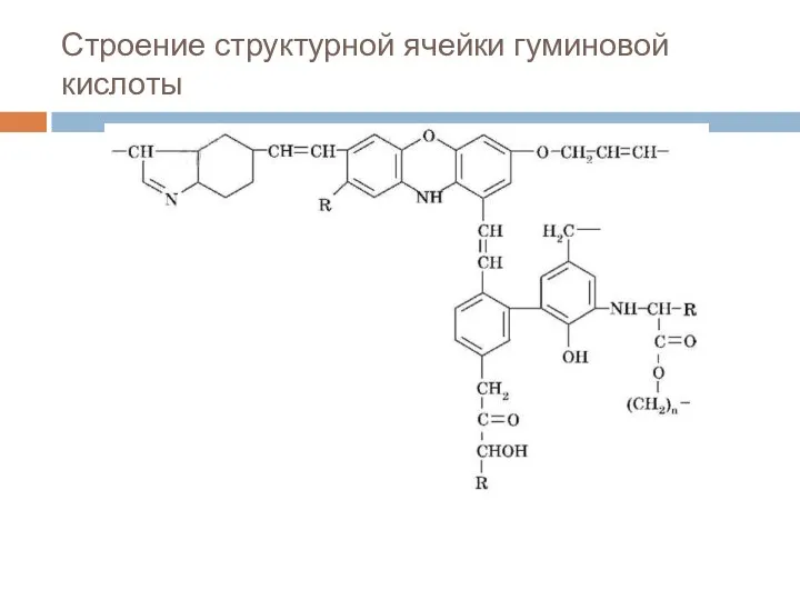 Строение структурной ячейки гуминовой кислоты