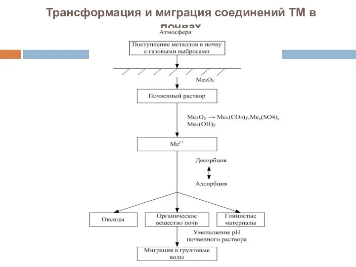 Трансформация и миграция соединений ТМ в почвах