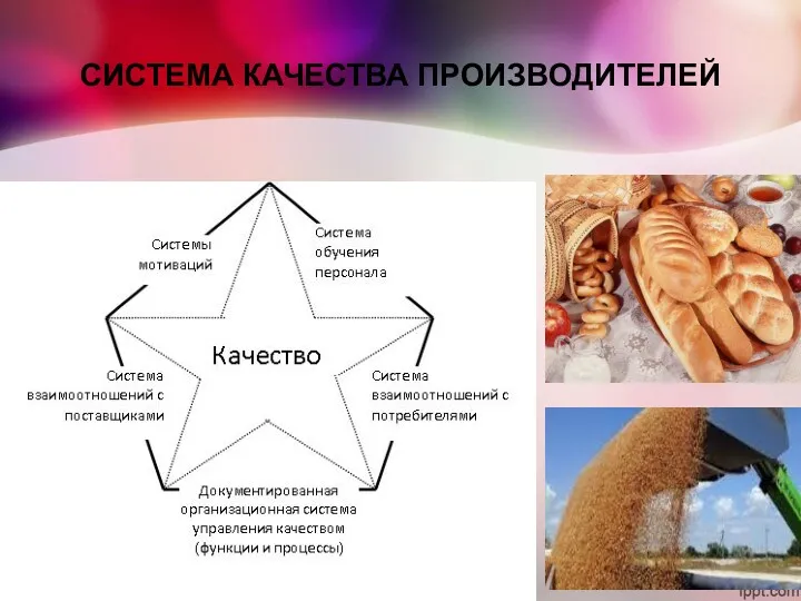 СИСТЕМА КАЧЕСТВА ПРОИЗВОДИТЕЛЕЙ