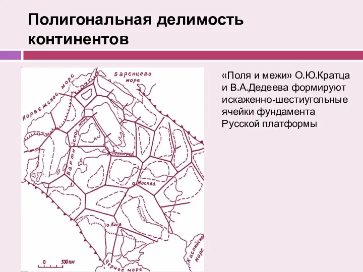 Полигональная делимость континентов «Поля и межи» О.Ю.Кратца и В.А.Дедеева формируют искаженно-шестиугольные ячейки фундамента Русской платформы