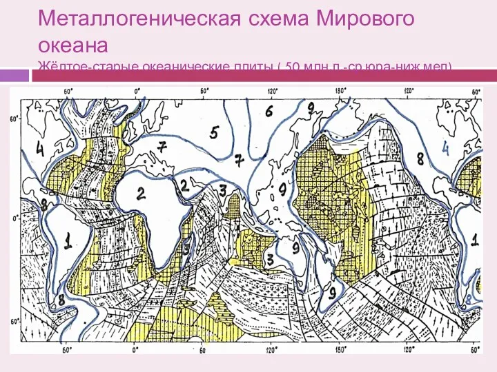 Металлогеническая схема Мирового океана Жёлтое-старые океанические плиты ( 50 млн.л.-ср.юра-ниж.мел)