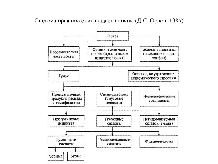Система органических веществ почвы (Д.С. Орлов, 1985)