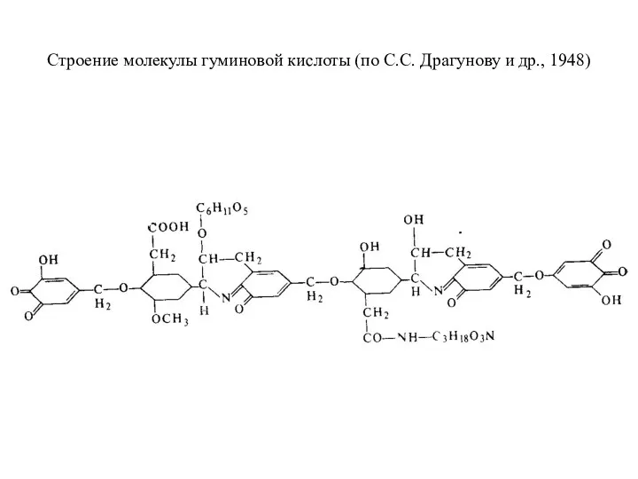 Строение молекулы гуминовой кислоты (по С.С. Драгунову и др., 1948)
