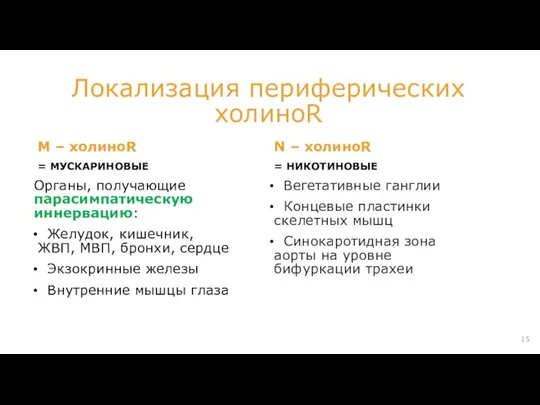 Локализация периферических холиноR М – холиноR = МУСКАРИНОВЫЕ Органы, получающие