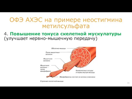 4. Повышение тонуса скелетной мускулатуры (улучшает нервно-мышечную передачу) ОФЭ АХЭС на примере неостигмина метилсульфата