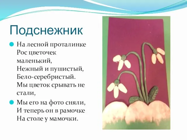 Подснежник На лесной проталинке Рос цветочек маленький, Нежный и пушистый,